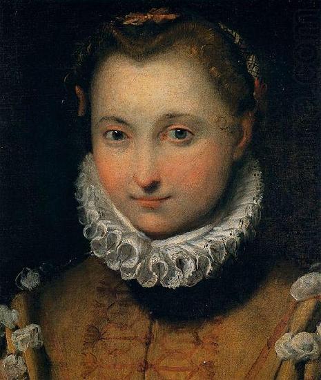 Portrait of a Young Woman, Federico Barocci